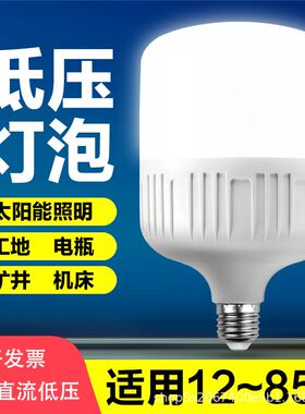 12vled低压灯摆摊灯夜市灯电动车电瓶灯24V36V48V60V90V直流球泡