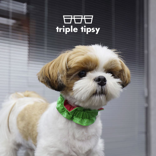 triple tipsy x PAWUP 联名 缤纷汽水宠物项圈 圣诞礼物猫咪狗狗