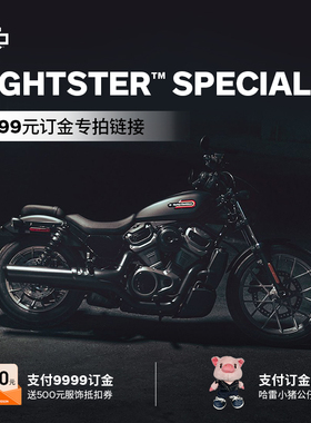 哈雷戴维森 Nightster™ Special【新车9999元定金】