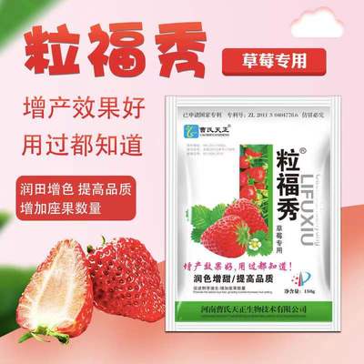 曹氏天正草莓膨大剂草莓膨大素