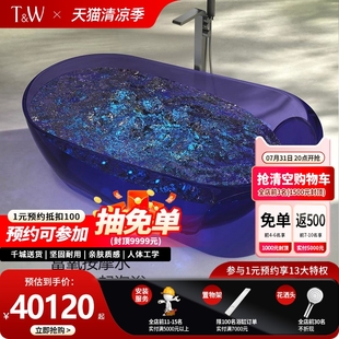 特拉维尔家用轻奢透明树脂独立智能汽泡冲浪按摩浴缸双人网红浴池