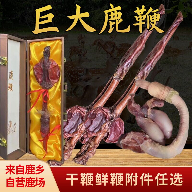 吉林梅花鹿鞭鹿鞭整支鹿肾男性泡酒搭配鹿茸人参