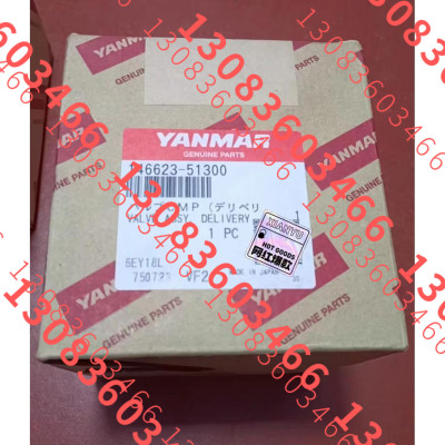 YANMAR EY18 出油阀 146623-51300