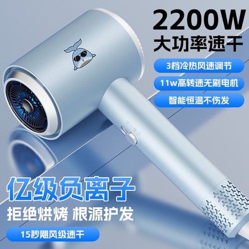 高转速电吹风机家用负离子护发静