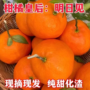 四川明日见柑橘甘平纯甜化渣耙耙柑果冻橙升级版当季新鲜水果整箱