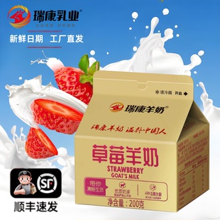 瑞康草莓酸奶鲜羊奶鲜奶发酵乳酸菌中老年儿童孕妇鲜奶营养早餐奶