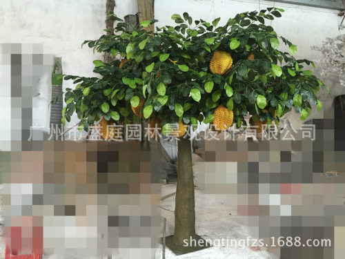 大树榴莲多少钱 大树榴莲价格 小麦优选