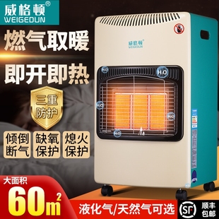 燃气取暖器天然气取暖炉煤气液化采暖炉气烤火炉家用室内节能速热
