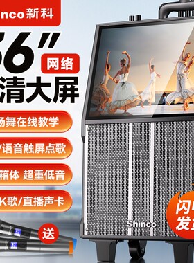 新科户外广场舞带显示屏K歌音响