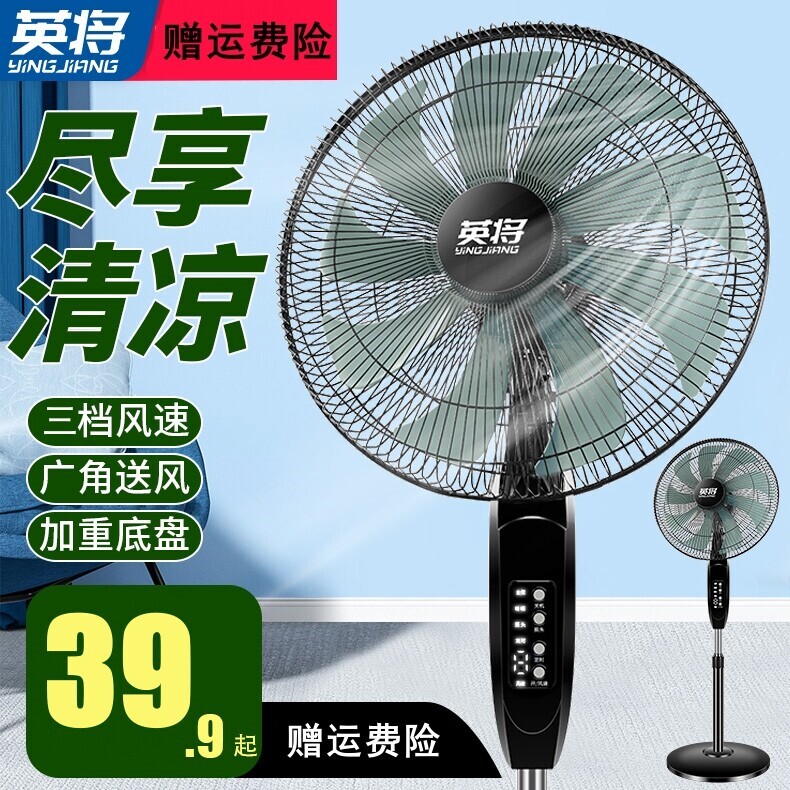落地扇家用电风扇大风力立式电扇