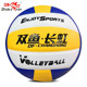 双鱼长虹VC500P比赛排球进口超细纤维革考试训练中考用专业排球