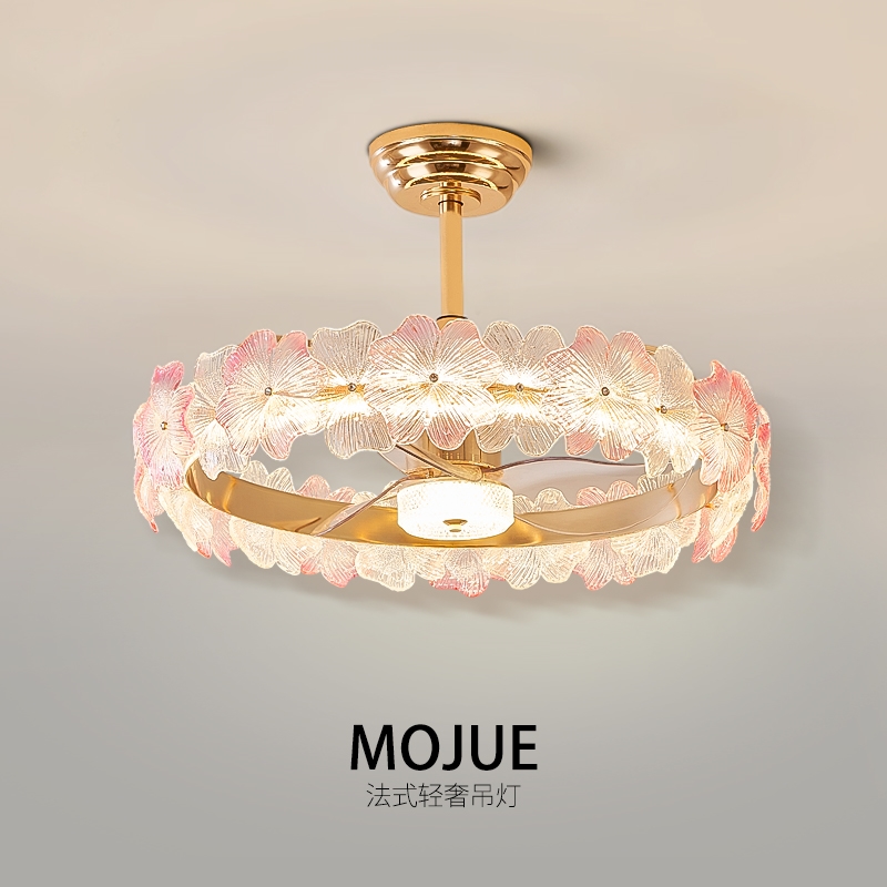 2025新款风扇灯家用客厅餐厅吊扇