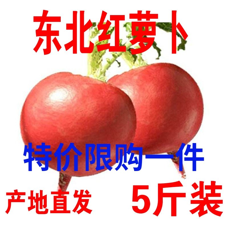 正宗东北红萝卜产地发货雌性白心