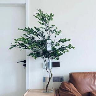 精选美男树平替日本吊钟马醉木室内水培鲜切枝客厅办公桌装饰绿植