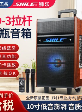 狮乐SD-3大功率户外广场音响舞10