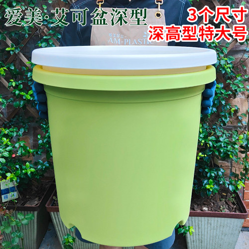 特大号deepot花盆果树盆
