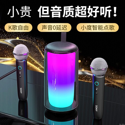 SOAIY索爱大音量蓝牙音箱家用K歌