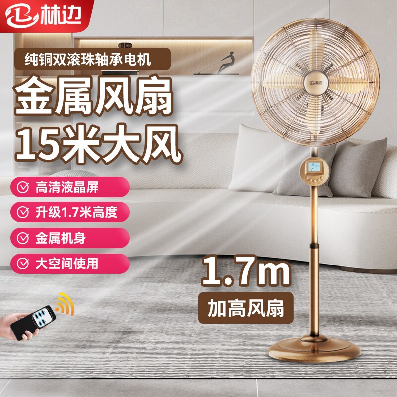林边电风扇家用落地扇客厅大风力