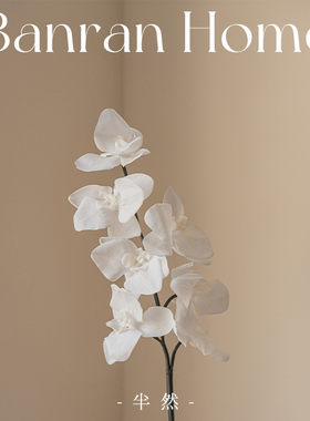半然仿真花保湿蝴蝶兰假花高级感花艺摆件摆设插花客厅高品质餐桌