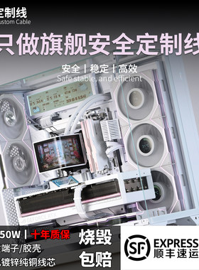 小何全套包网镀银硅胶压纹定制线 H++ 12V-2x6 海韵振华ROG海盗船
