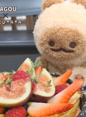 NukutataXagou合作款 逻辑小猫阿狗agou礼物15cm玩偶公仔