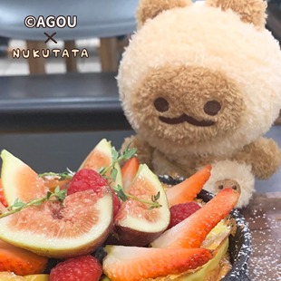 NukutataXagou合作款 逻辑小猫阿狗agou礼物15cm玩偶公仔
