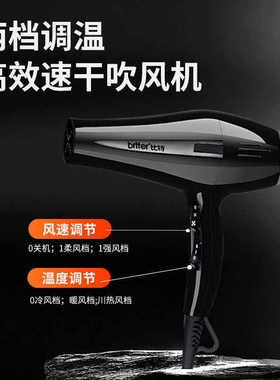 比特6900电吹风机家用B大功率负