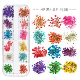 Dried Flowers for Nail ArtNail Decoration Sticker美甲干贴花