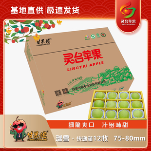 瑞雪苹果 快递箱12枚75-80mm 甘果佬苹果 灵台苹果