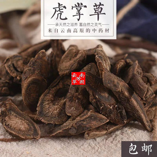 云南野生中药材虎掌草 见风青 狗脚迹 500g包邮