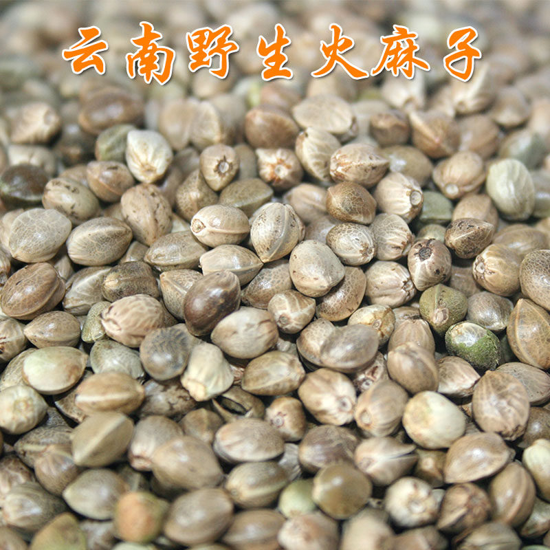 云南中药材火麻仁 火麻子 火麻籽 50g包邮
