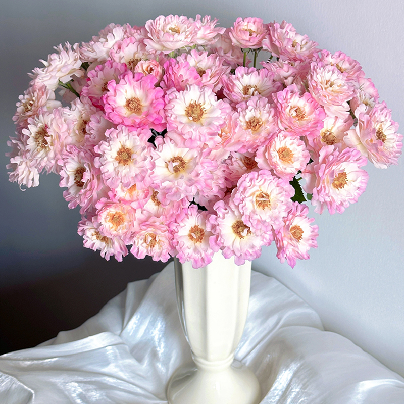玫瑰鲜花稀有品种基地直发