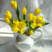 黄色郁金香鲜花云南基地直发室内插花水培手棒花真花白色鲜切花