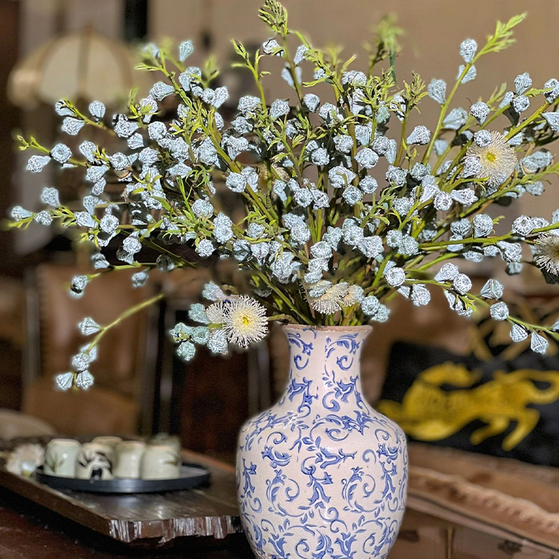 尤加利果鲜花水培桉树果鲜切枝