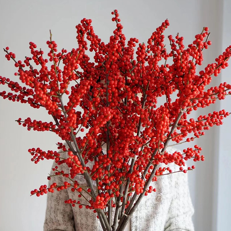 北美冬青鲜切花年宵花红红火火