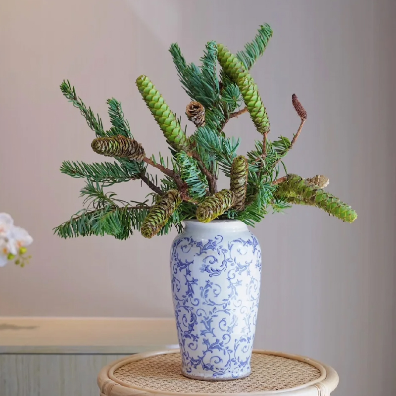 松塔鲜切枝水培绿植鲜切松果