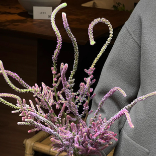 补血草丘比特鲜切花稀有花材小众配草云南基地直发新鲜水养花束