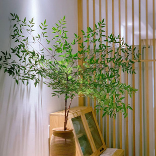 绿植南天竺水养鲜切枝条云南直发客厅水培植物插花马醉木真树鲜花