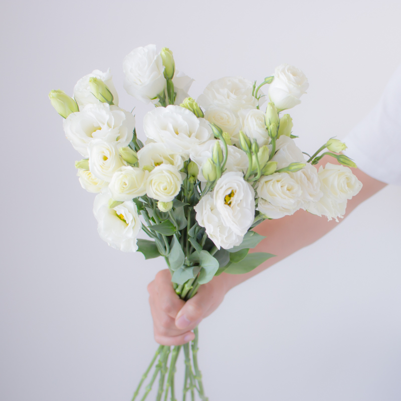 白色洋桔梗鲜花鲜切花水养