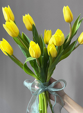 黄色郁金香鲜花云南基地直发室内插花婚礼手棒花真花鲜切花10支
