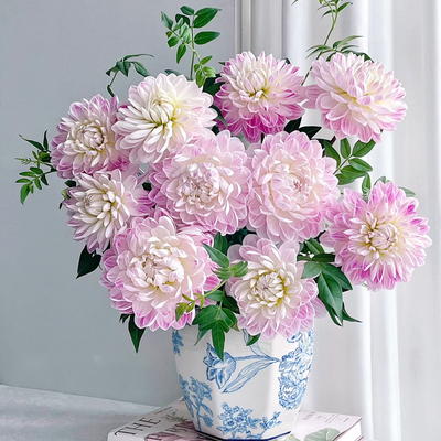 牛奶咖啡大丽花鲜切花鲜花云南宝熠基地直发家用石英水培插花花束