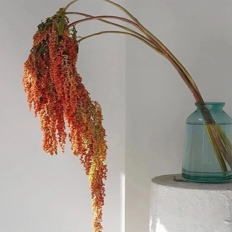 吊米花柔丽丝鲜花云南基地直发鲜切花室内新鲜插花绿色情人泪花束