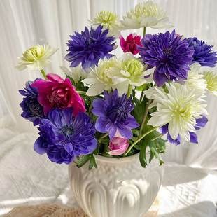 重瓣银莲花鲜切花绿植鲜花云南直发水养插花配花白色紫色花束水培