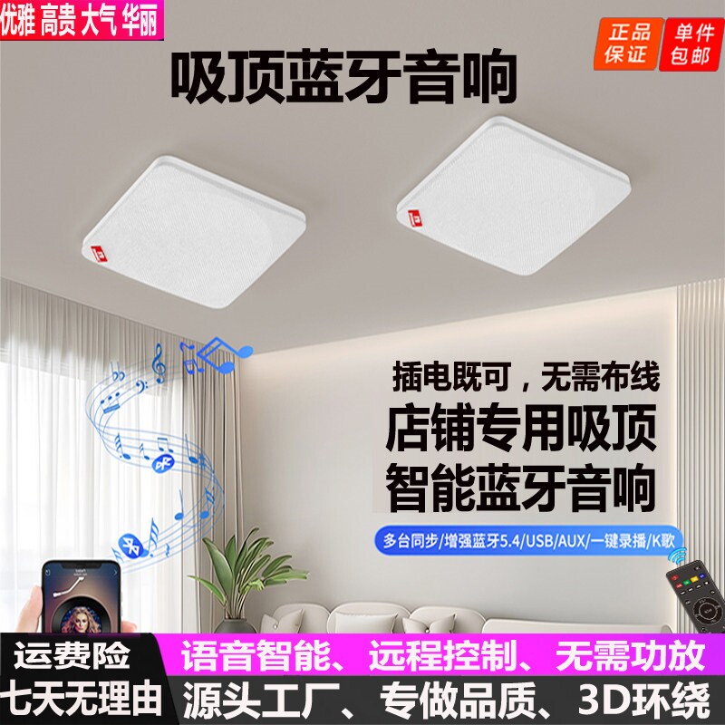 智能语音壁挂吸顶无线蓝牙音响远