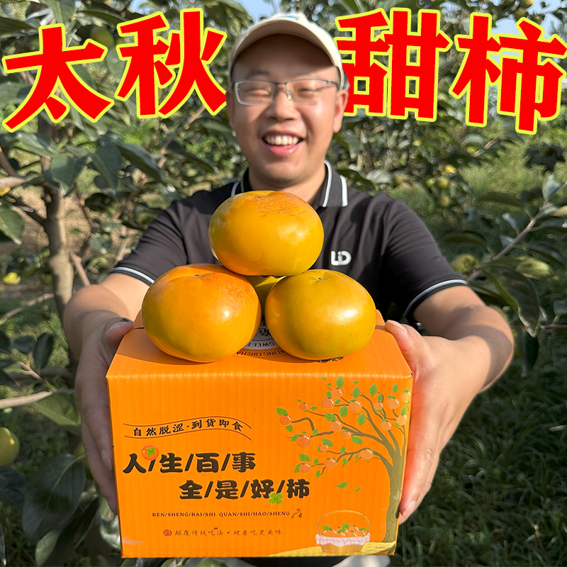 太秋甜柿糖纹脆柿子陕西脆柿子