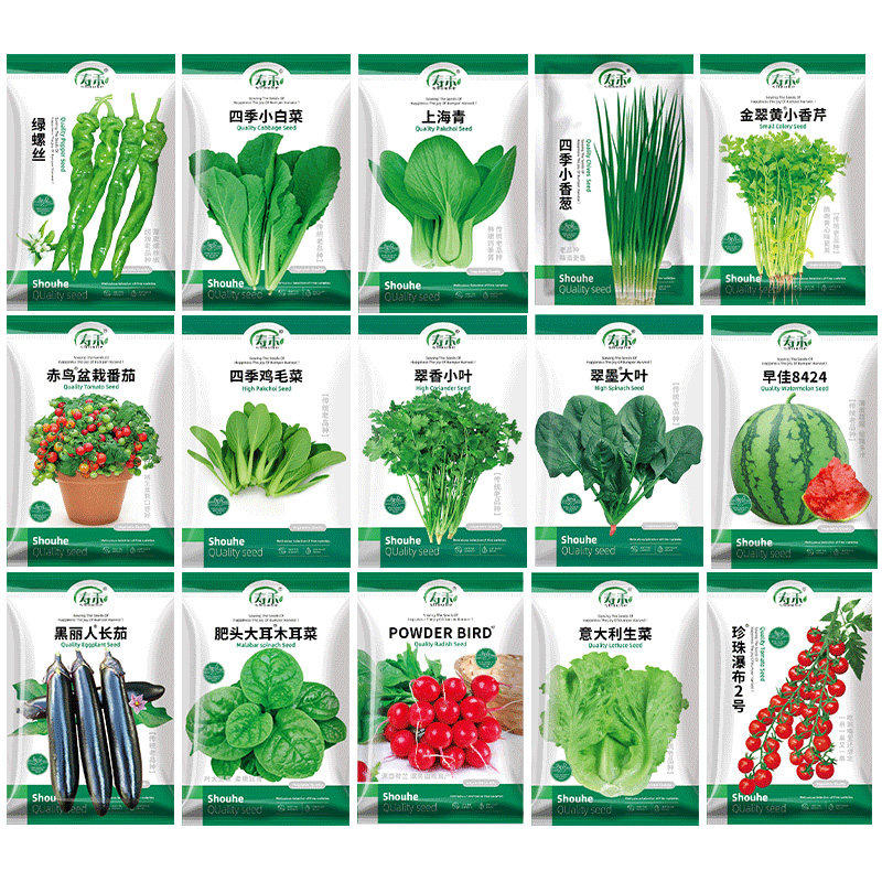 四季优质蔬菜种子种籽大全青菜种籽各种菜子种香菜生菜春季菠菜孑,鲜花速递/花卉仿真/绿植园艺,家庭园艺种子,淘宝优惠券,粉丝福利购,淘宝优惠卷