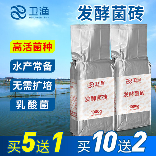卫渔发酵菌砖乳酸菌种水产专用