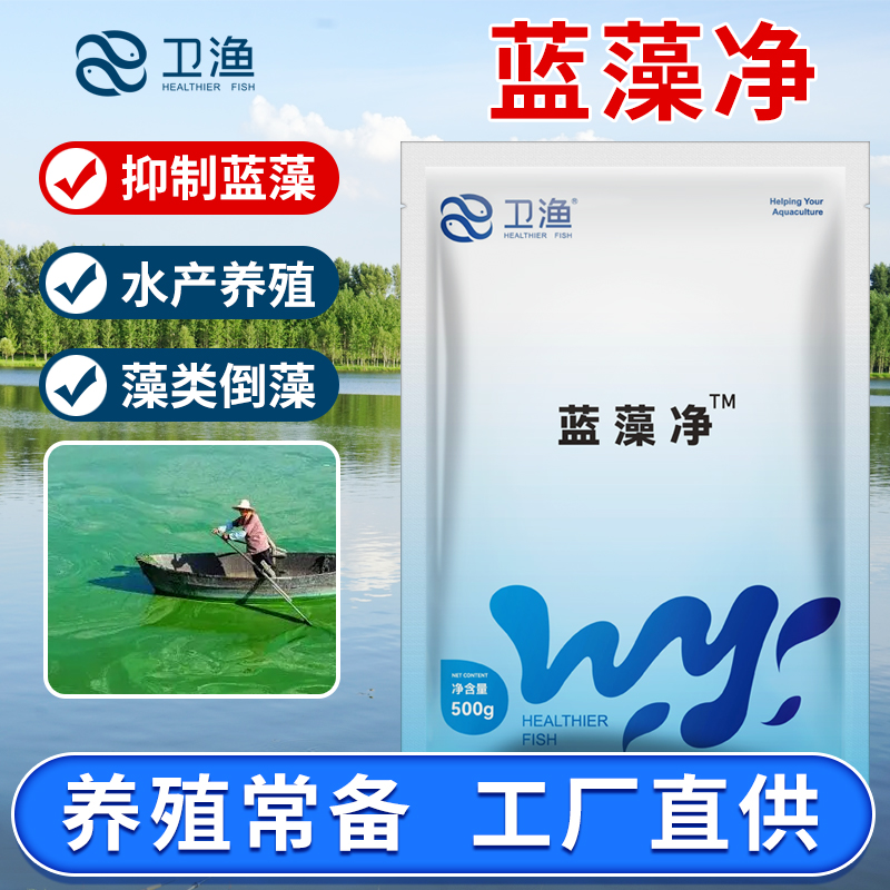 蓝藻速净分解素速灭水产养殖虾蟹