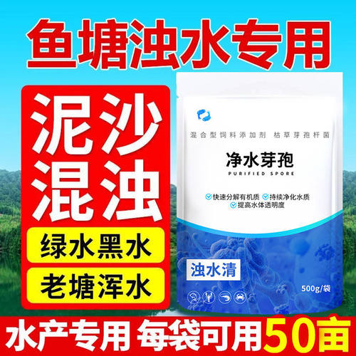 净水王枯草芽孢杆菌水产养殖虾蟹鱼塘调水净水草挂脏分解有机质