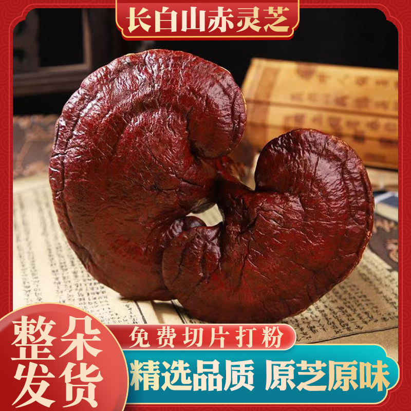 东北特产长白山灵芝整朵灵芝大灵芝煲汤泡酒泡水大灵芝人参枸杞